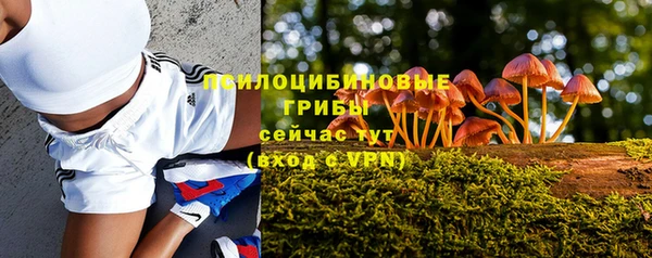 марки nbome Дмитриев