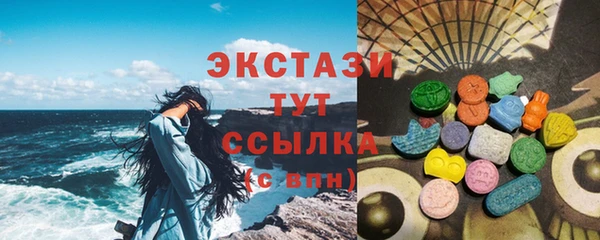 гашик Гусев