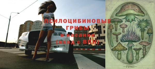 ГАЛЛЮЦИНОГЕННЫЕ ГРИБЫ Дмитровск