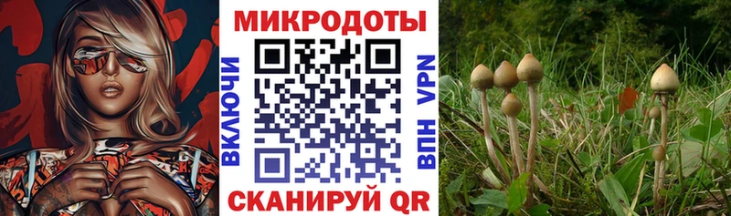 Галлюциногенные грибы Magic Shrooms Щёлково
